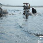 Vraj-Yatra-2014- (1021)